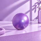 Ballon de Pilates - Violet