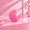 Ballon de Pilates - Rose